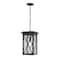 Z-Lite Brookside 1 Light Outdoor Chain Mount Ceiling Fixture, Black And Clear Seedy 583CHB-BK - alternate 1